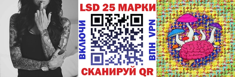 Наркотические марки 1,5мг  продажа наркотиков  ссылка на мегу как зайти  Чекалин 