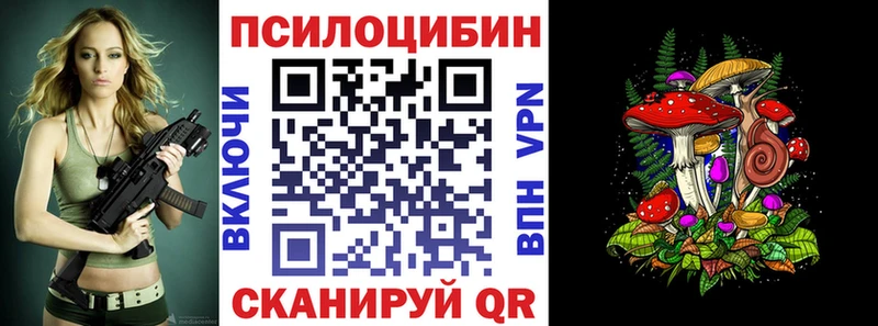 Псилоцибиновые грибы Cubensis  Чекалин 